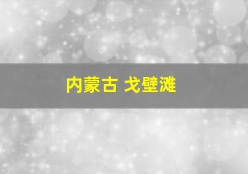 内蒙古 戈壁滩